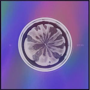 XG - 1st mini ALBUM [NEW DNA] (X VER.)